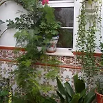 Andalucia * ネルハ