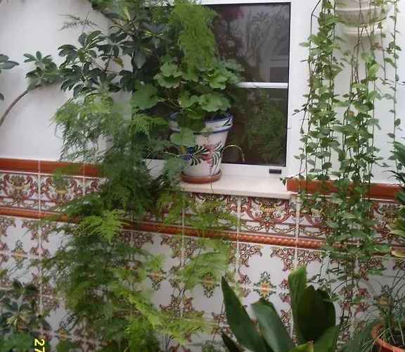 Andalucia * ネルハ