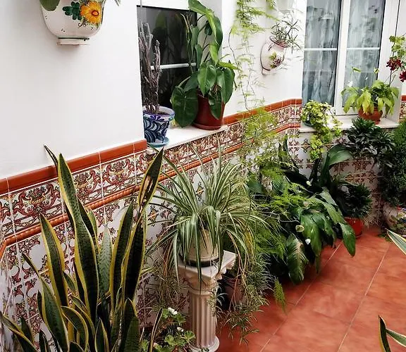 Guest house Andalucia *