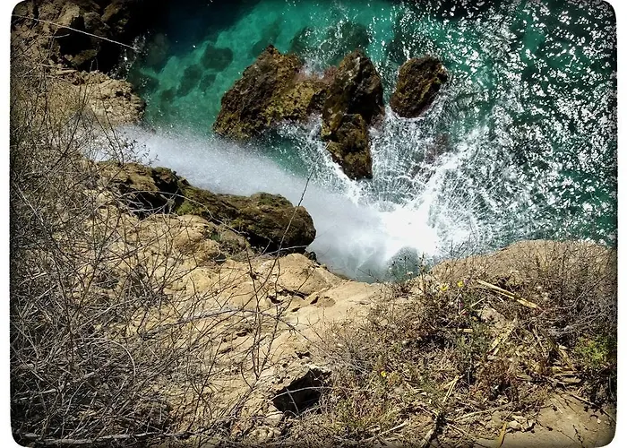 ゲストハウス Andalucia